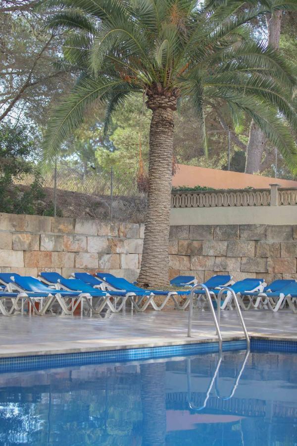 Elegance Playa Arenal Hotel El Arenal  Facilities photo